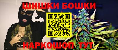 стаф Будённовск