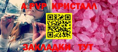 стаф Будённовск