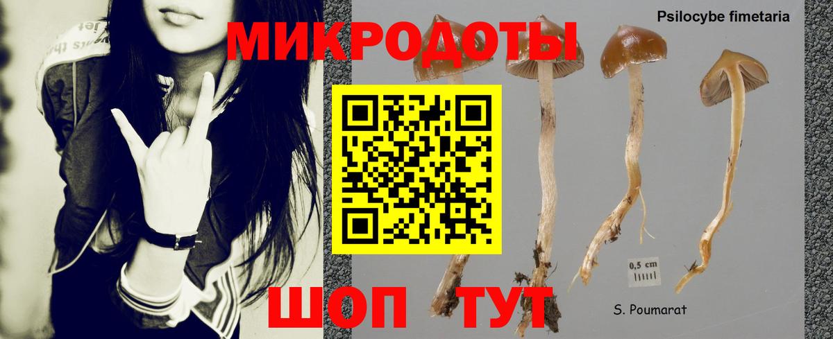 Псилоцибиновые грибы Cubensis Благовещенск